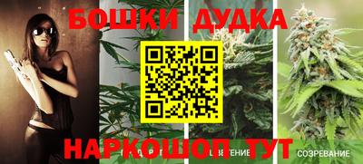 стаф Добрянка