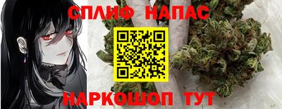стаф Добрянка
