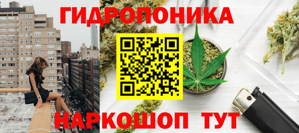 Шишки марихуана THC 21% Отрадное